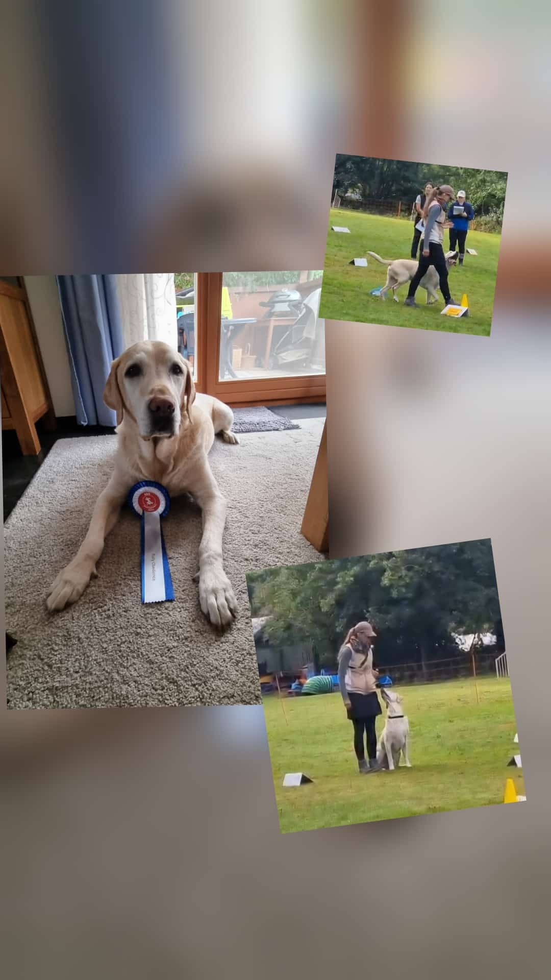 Sehr erfolgreiches Team geht in Rally Obedience Rente