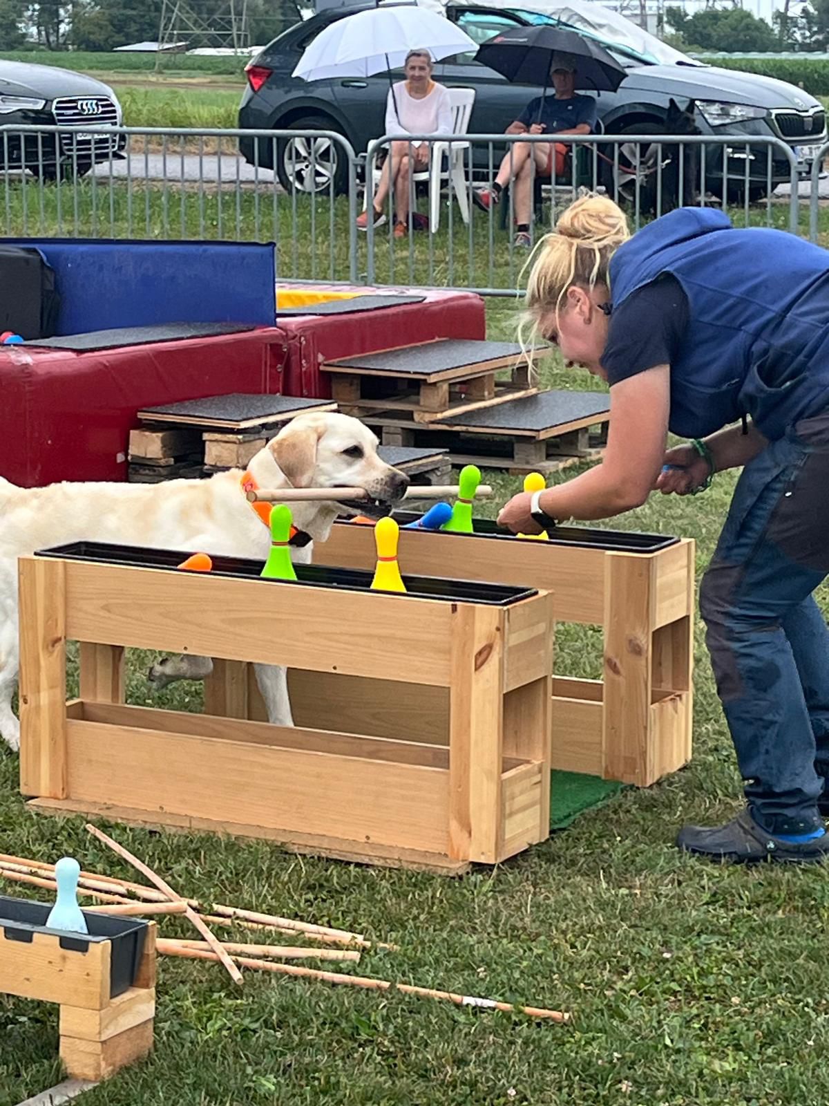 2. Platz bei Top Dog Eichstetten