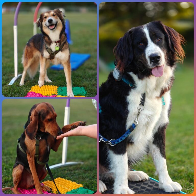 Bericht Sommerkurs 2025