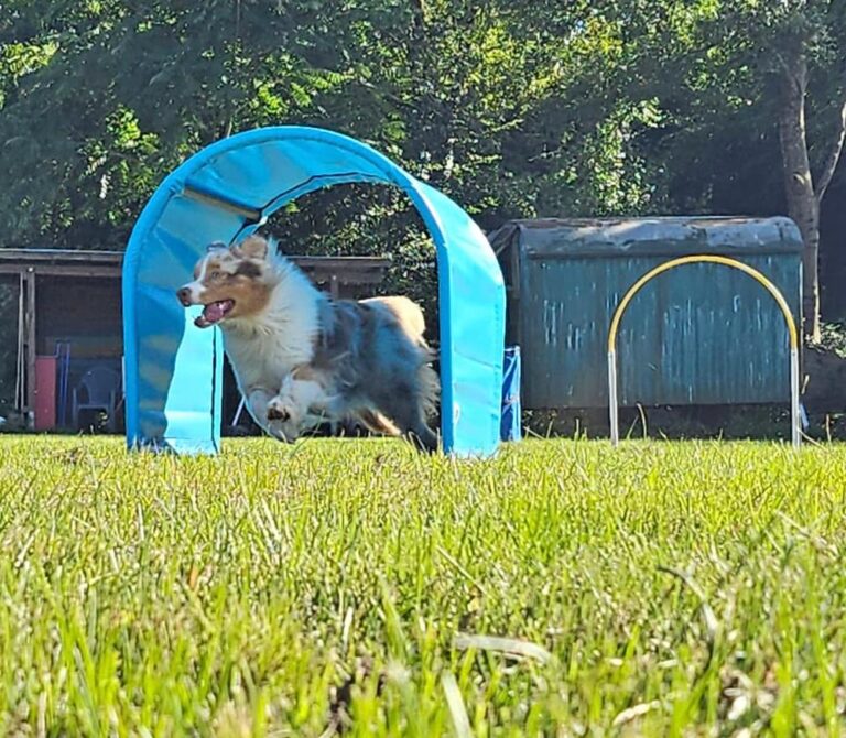 Bericht Hoopers-Seminar