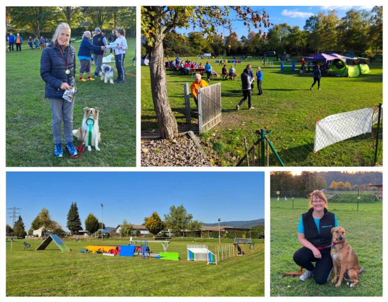 Bericht Agility Turnier