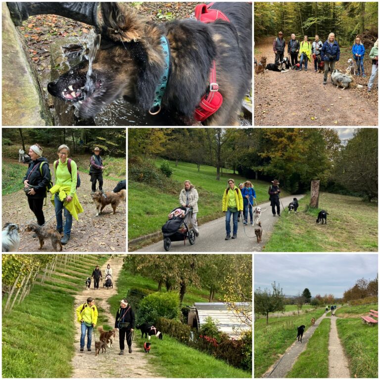 Herbstwanderung am 19.10.