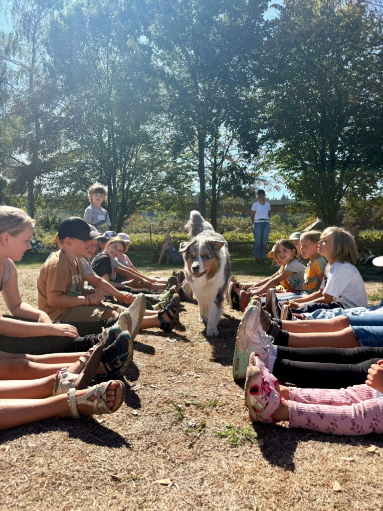 Rückblick Kinder-Sommerferienprogramm