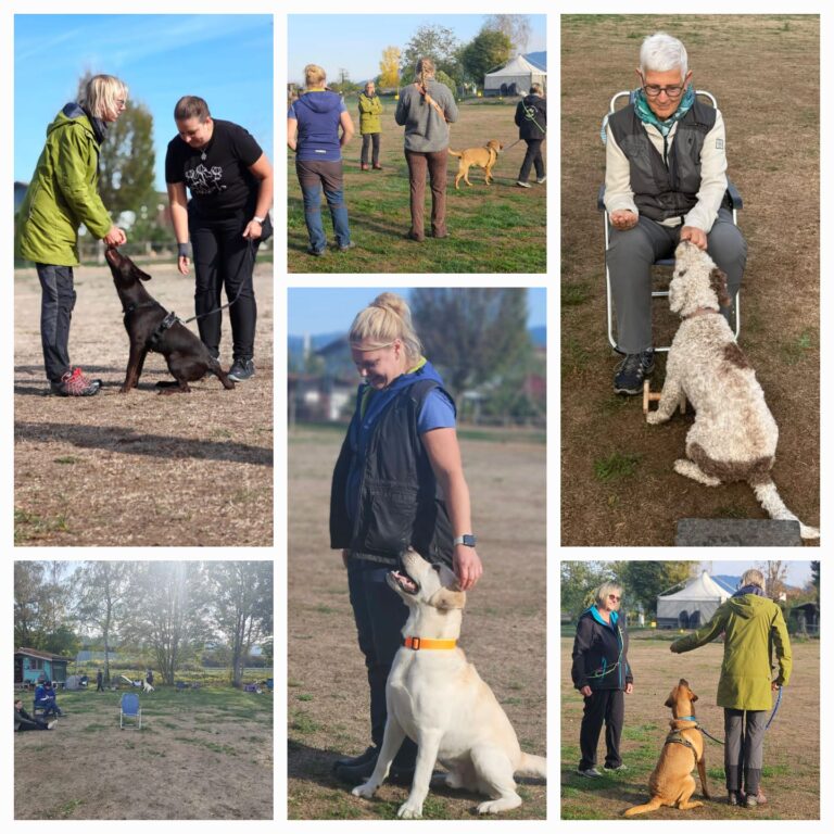 Rückblick Obedience Seminar mit Susi Huber